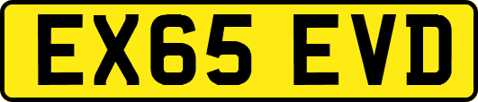 EX65EVD