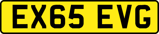 EX65EVG