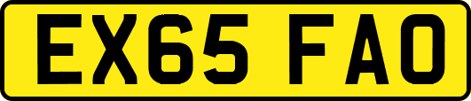 EX65FAO