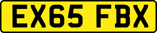 EX65FBX
