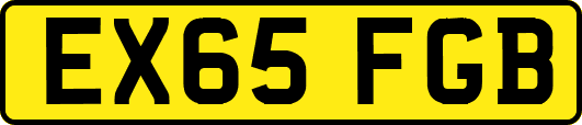 EX65FGB