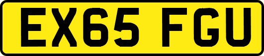 EX65FGU