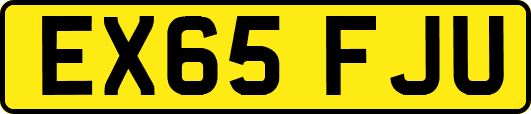 EX65FJU