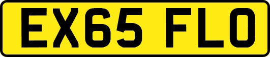 EX65FLO