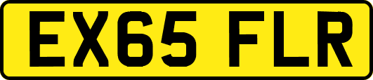 EX65FLR