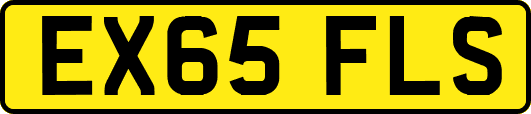 EX65FLS