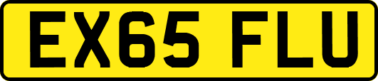 EX65FLU