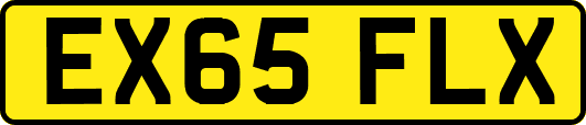 EX65FLX