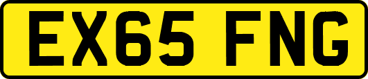 EX65FNG