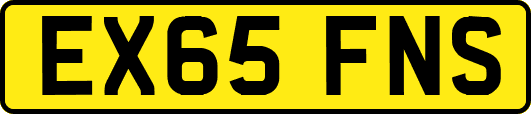 EX65FNS