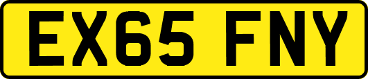 EX65FNY