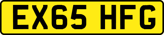 EX65HFG