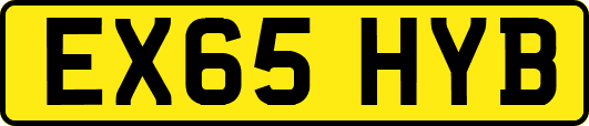 EX65HYB