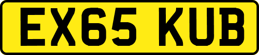 EX65KUB