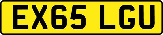 EX65LGU