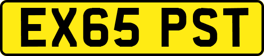 EX65PST