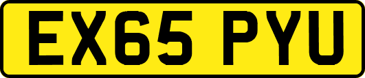 EX65PYU