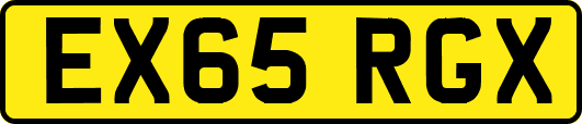 EX65RGX