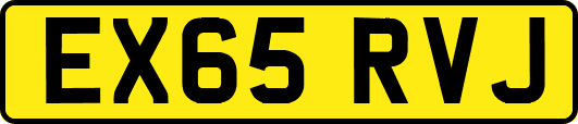 EX65RVJ