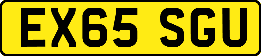 EX65SGU