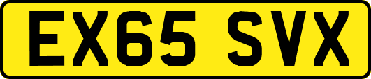 EX65SVX