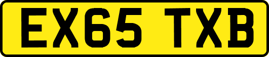 EX65TXB