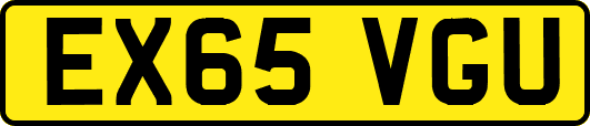 EX65VGU