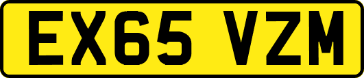 EX65VZM