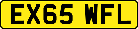 EX65WFL