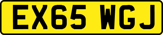 EX65WGJ