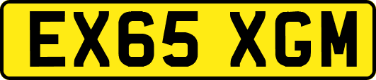 EX65XGM