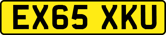 EX65XKU