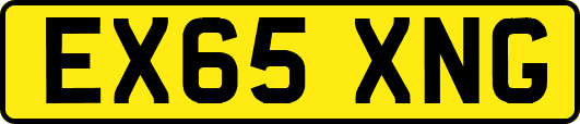 EX65XNG