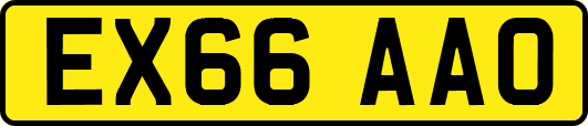 EX66AAO