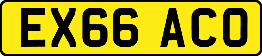 EX66ACO