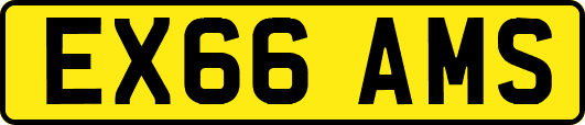 EX66AMS