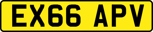 EX66APV