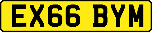 EX66BYM