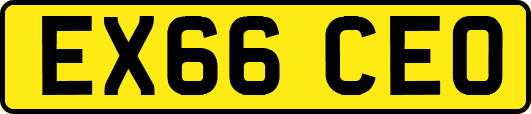 EX66CEO