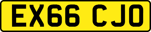 EX66CJO