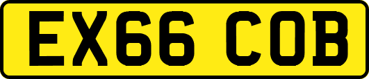 EX66COB