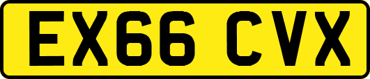 EX66CVX