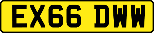 EX66DWW