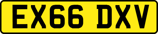 EX66DXV