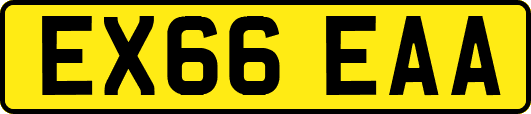 EX66EAA