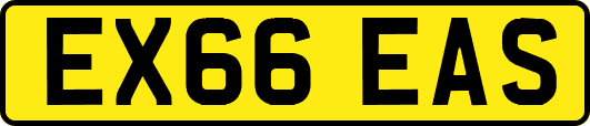 EX66EAS