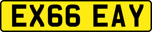 EX66EAY