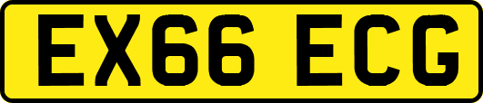 EX66ECG