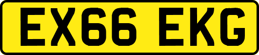 EX66EKG