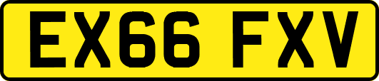 EX66FXV